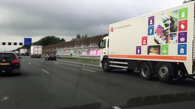 Ce pigeon vole à 100km/h derrière les voitures sur l'autoroute !