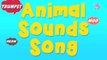 Animal Sounds Song - English nursery rhyme - Baby Song for childrens