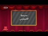 مفيش مشكلة خالص | مسرحية الحبونوس