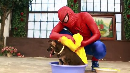 Spiderman vs Venom ! FUN Superheroes In Real Life Frozen Elsa Kiss Thor ! Spiderman Kiss Maleficent