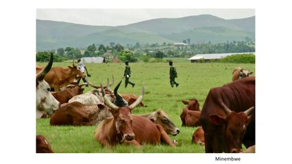 Conférence CRASH - 04 - Justine BRABANT - Que recherchent les combattants?