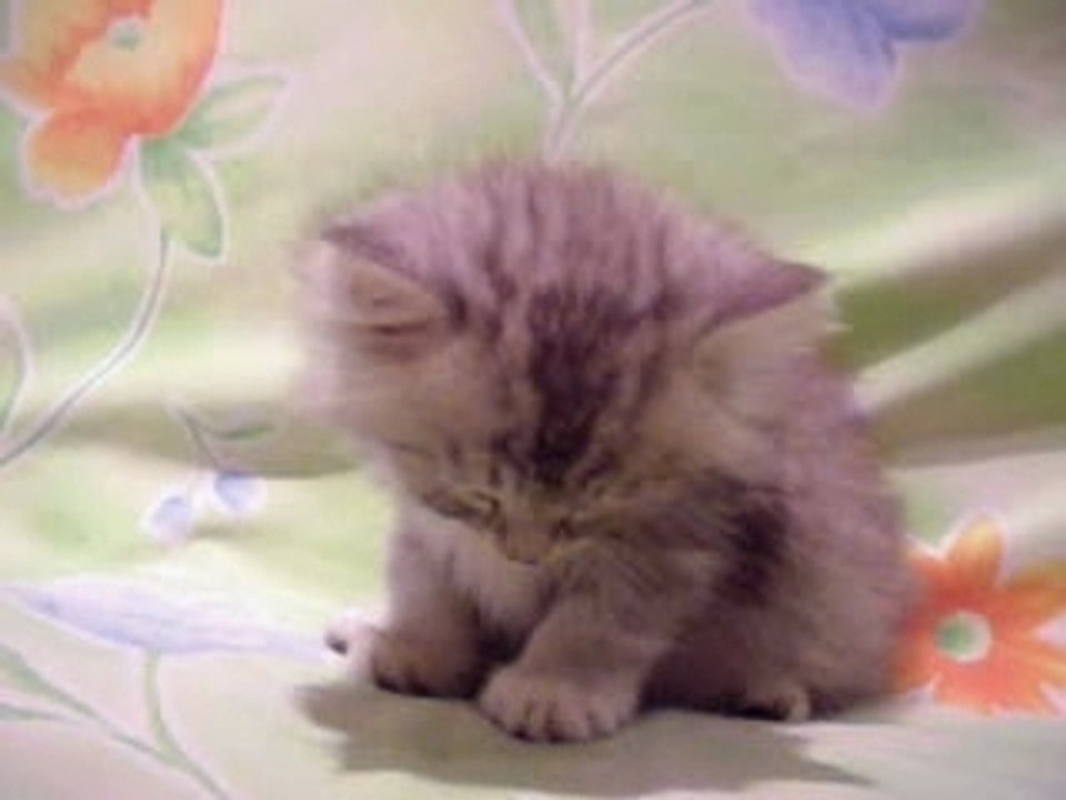 SLEEPY