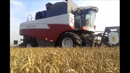 ACROS 560 в уборке - Литва