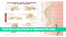 Books Anatomy and Injuries of the Spine: Anatomical Chart Full Download