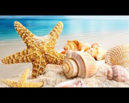 Ferragosto 2016 low cost: 5 offerte last minute imperdibili, dal mare alla montagna