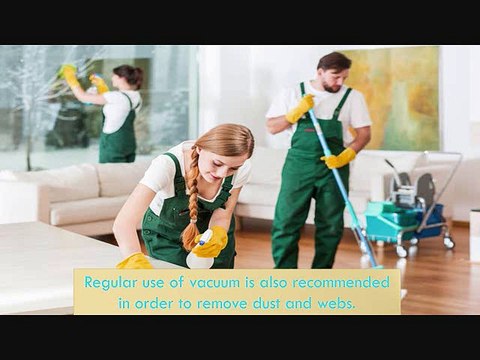 Tips for Spider Pest Control Your Time Lawn Care