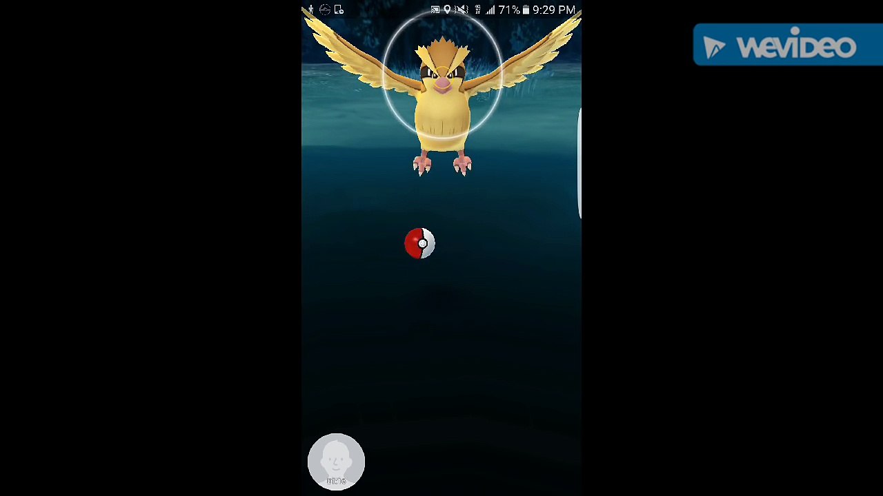 Proof of pokeball retrieval as of latest Pokemon Go update?