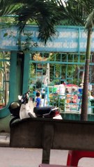 tập thể dục buổi sang tại trường mầm non