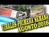 VIRALES Y FAILS MAS VISTOS DE LA PRIMERA SEMANA DE AGOSTO 2016 nuevo