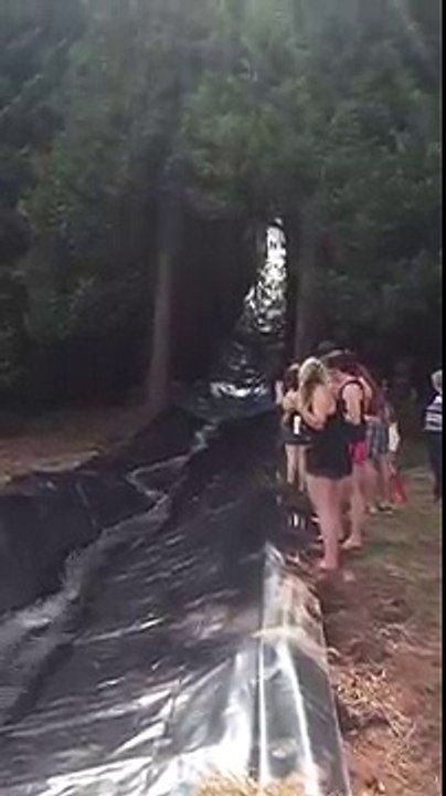 Un chien traverse un toboggan aquatique