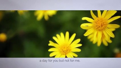 Ecocentricity Blog: Tomorrow's Child | Ray C. Anderson Foundation