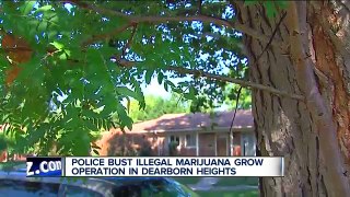 Police bust large marijuana operation in Dearborn Heights