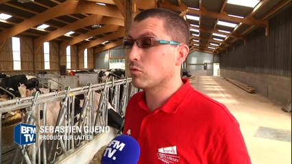 Les agriculteurs désemparés face à la baisse du prix du lait