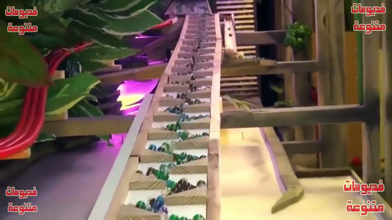 فيديو يستحق المشاهدة اكتر من مره  ابداع بمعنى الكلمة  سبحان الله