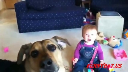 Dog Making Babies Laugh Compilation