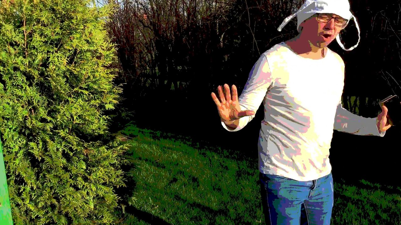 Dises Lied ist für Dich