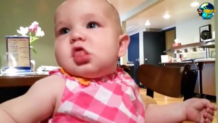 Funny Babies And Dogs Eating Lemons for the First Time Compilation