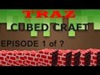 Cubed Craft Ep. 1 Building our first house