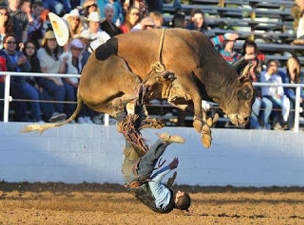Bullfighting festival spanish with horrific acciden