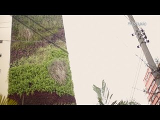Jardins verticais vão formar um corredor verde no Minhocão