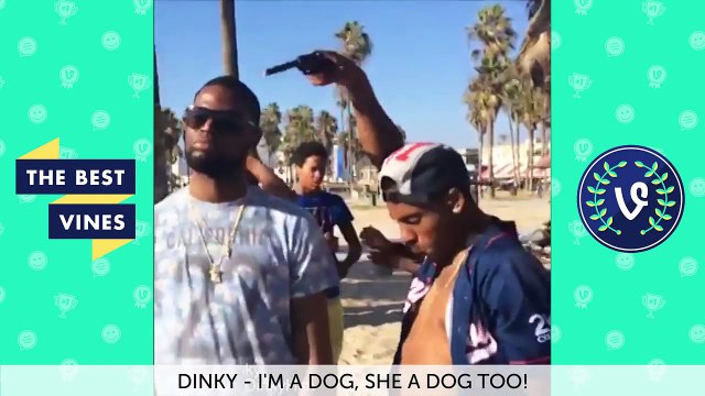 Best Animal Vines Compilation - Top Funny Pets June 2016