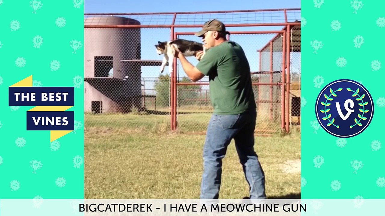 Best Cat & Dog Vines Compilation - Top Funny Pets May 2016