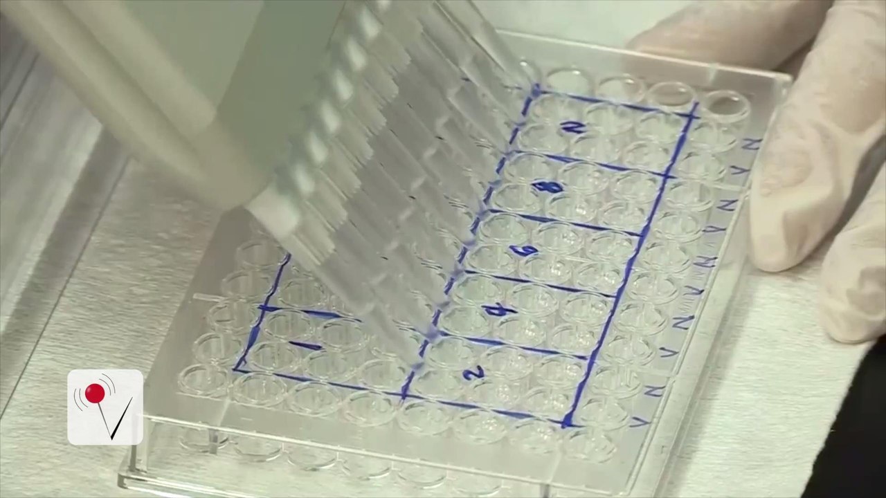 Promising Results from Early Zika Vaccine Trial