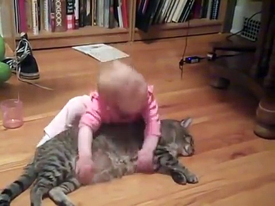 funny baby and cat