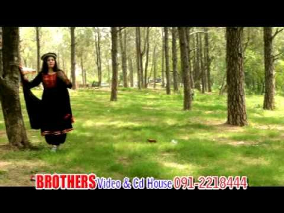 Nazia Iqbal And Gul Panra | Janana Sata Taswer Na Zara | Hits Songs Pashto | Pashto Songs