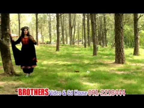 Nazia Iqbal And Gul Panra | Janana Sata Taswer Na Zara | Hits Songs Pashto | Pashto Songs