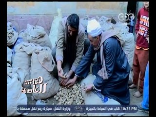 هنا العاصمة | تقرير .. عن أزمة تقاوي محصول البطاطس بالقليوبية
