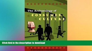 READ ONLINE The Archaeology of Consumer Culture (American Experience in Archaeological Pespective)