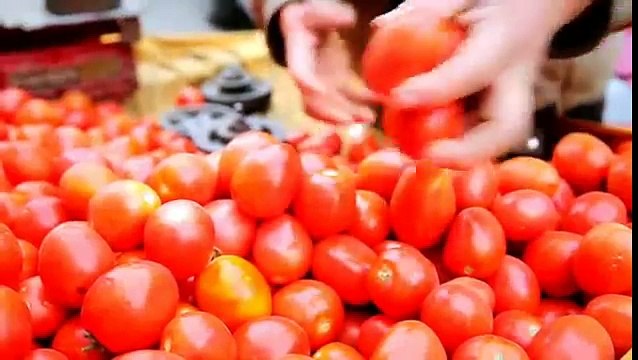 Khalid Khan Pashto New Song 2016 Kada Kabul Ta Urama Pekhawar Khar Paatey Sho