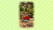 Pokemon GO Gameplay Episode 4 - CATCHING RARE POKEMON!