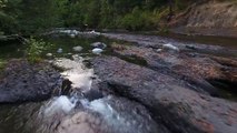 Englishman River Falls