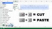 Excel Tips: Text To Columns- Thats Nice Ill take Care Of It - Separate Text into Columns