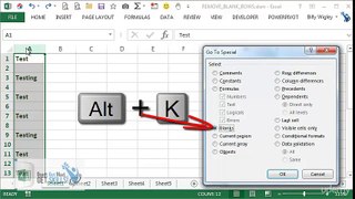 Excel Tips: Go To Special - Find Blank Rows and Delete. Find Specific Text and Delete Row.