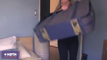 MASKOTA- Mi papá es un gato, dinámica.