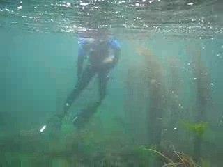 Cédric 1ère plongée en bretagne 3