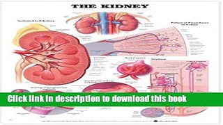 Ebook The Kidney Anatomical Chart Full Online