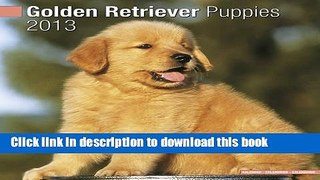 Ebook Golden Retriever Puppies 2013 Wall Calendar Free Online