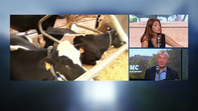 Colère des producteurs de lait: C'est toujours le plus fort qui gagne, et le plus faible qui disparaît