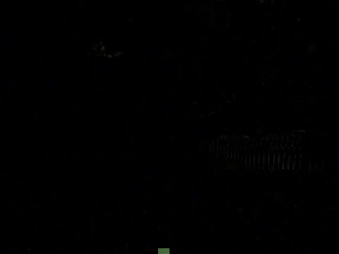 Epaves corsaires : Découverte d'une chaussure sur l'épave de la Dauphine (1704)