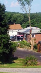 Il voulait couper son arbre, mais ne s'attendait pas à ça...