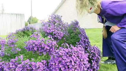 Spiderman vs Joker Real Life Superhero Fight! Death Match