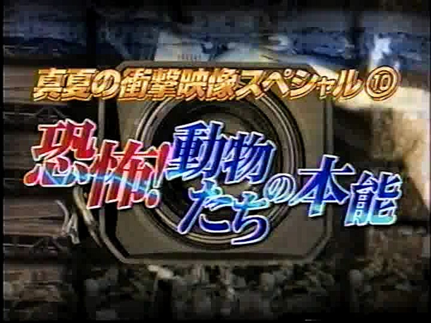 デスノート めちゃイケ海の家02 動画 Dailymotion