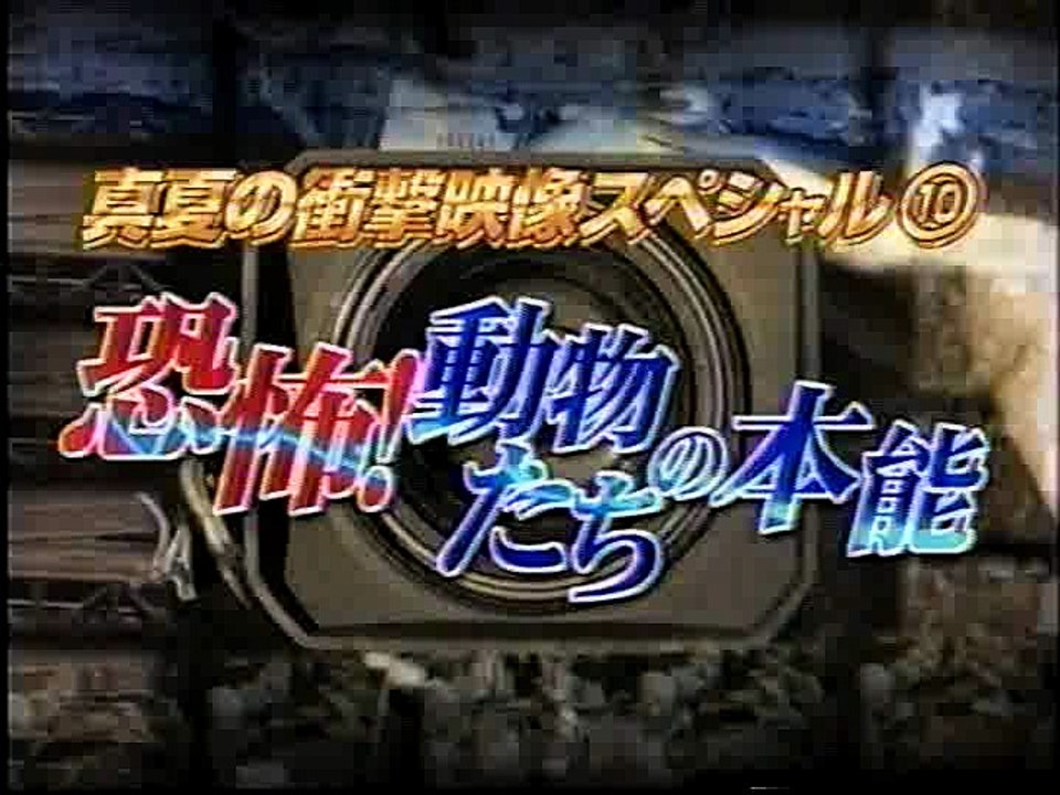 デスノート　めちゃイケ海の家02