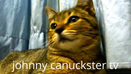 Don't Quit Your Day Job