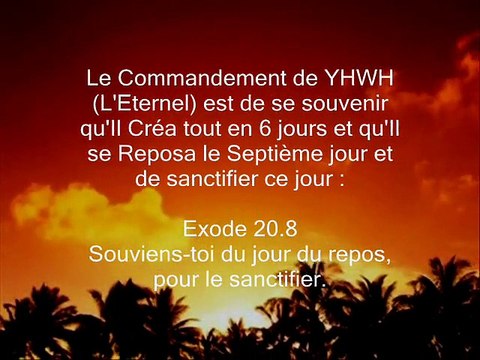 S H A B A T S H A L O M MES AMIS MA FAMILLE QUE LA LUMIERE LA CHALEUR LE BONHEUR RENTRENT DANS VOTRE FOYER ET QUE LA PAIX REGNE DANS CE MONDE