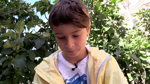 POKEMON GO (Покемон Го)! Поймать всех покемонов! Новая потрясающая игра на телефон Pokemon